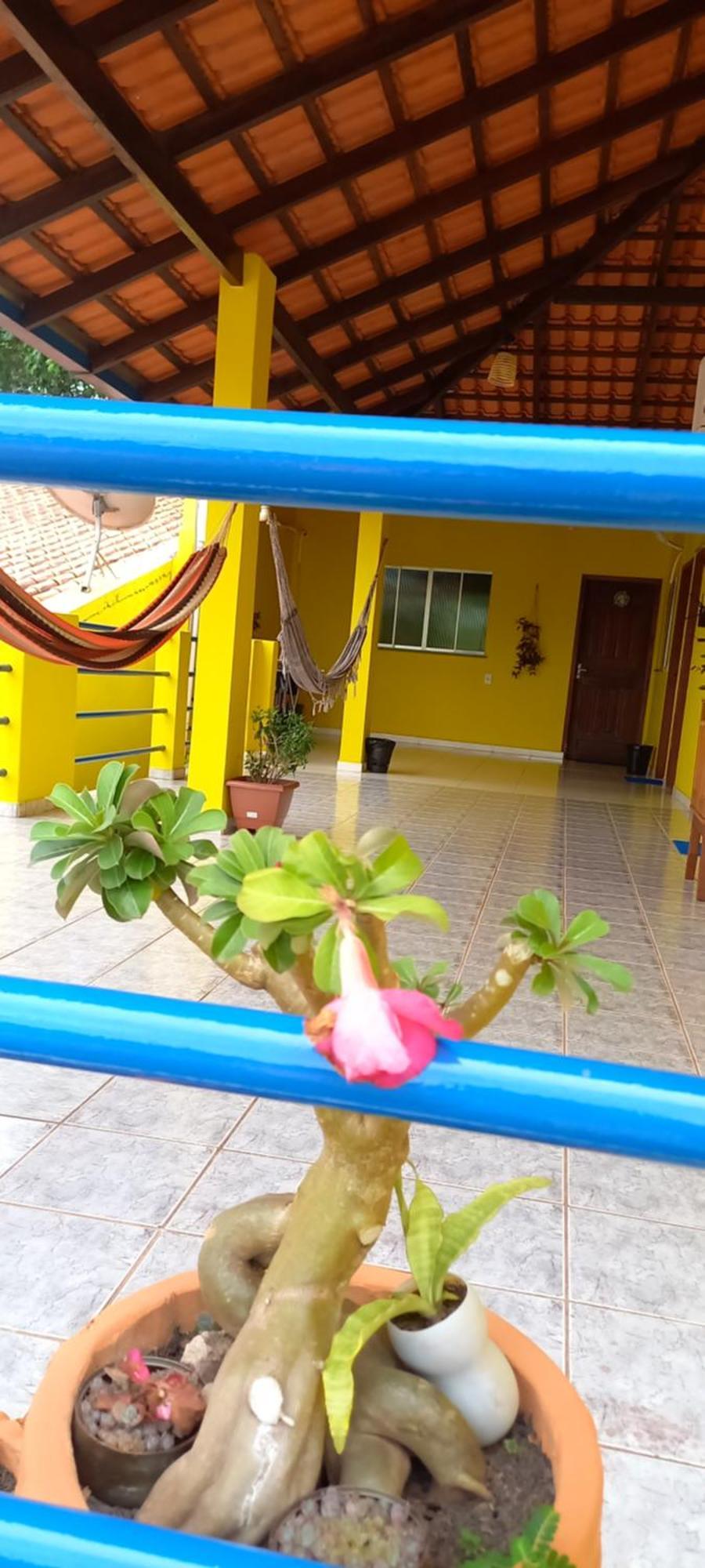 Casa Da Vila - Hospedaria - 3 Min Do Centrinho De Alter ألتر دو تشاو المظهر الخارجي الصورة